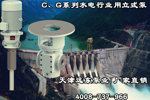 C、G系列水電行業(yè)用立式泵